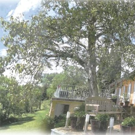 Maison D'Hotes Du Vert Vallon Theize Zewnętrze zdjęcie